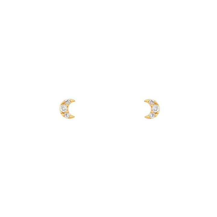 Starlight Earring Collection 316L