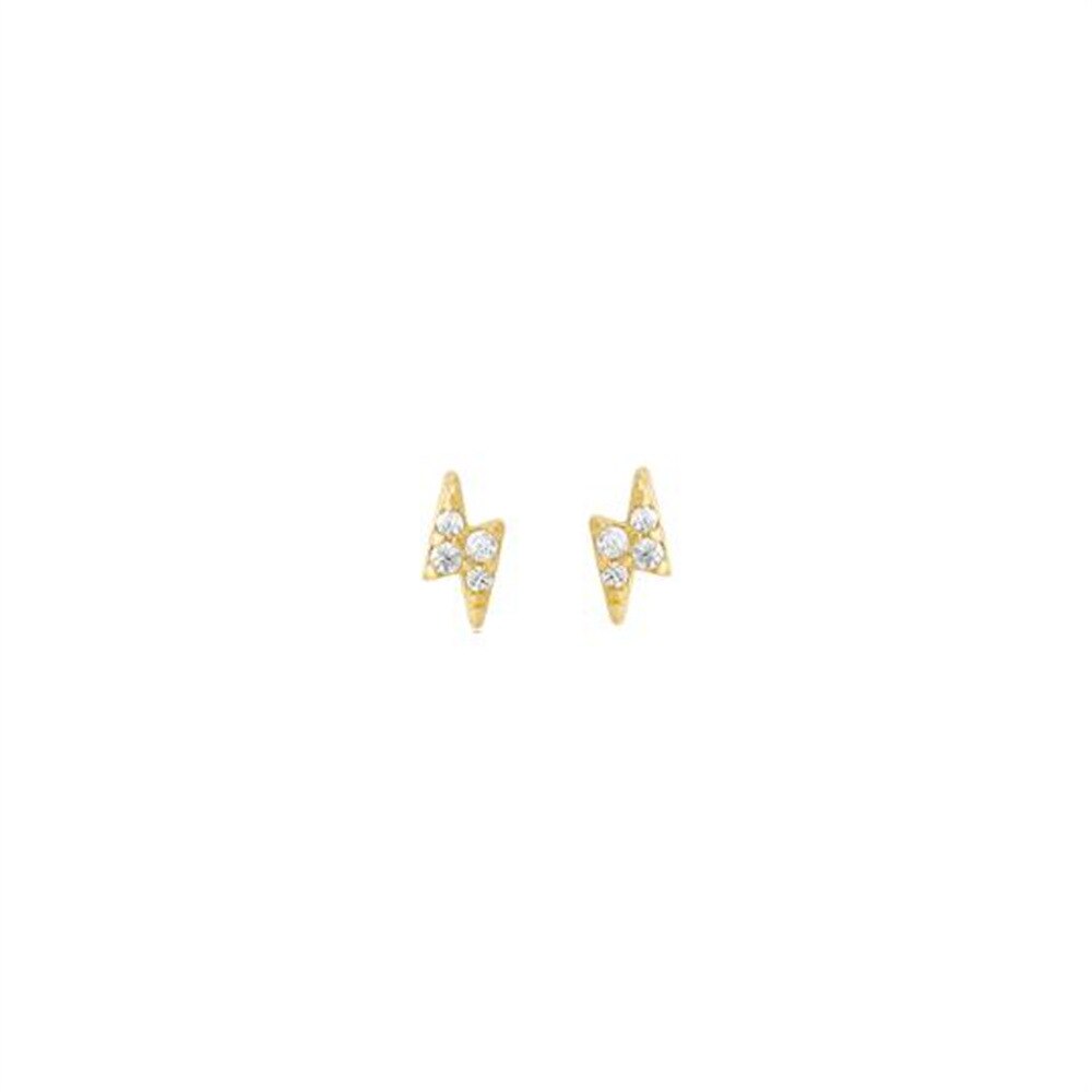 Starlight Earring Collection 316L