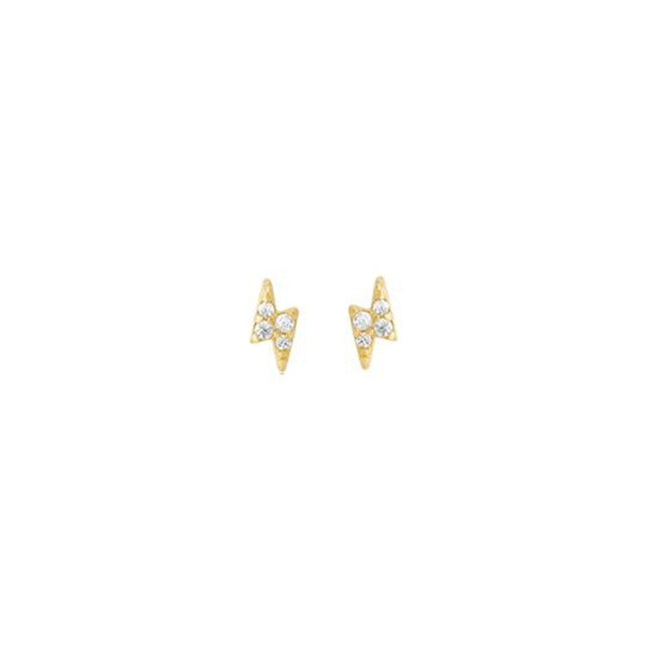 Starlight Earring Collection 316L